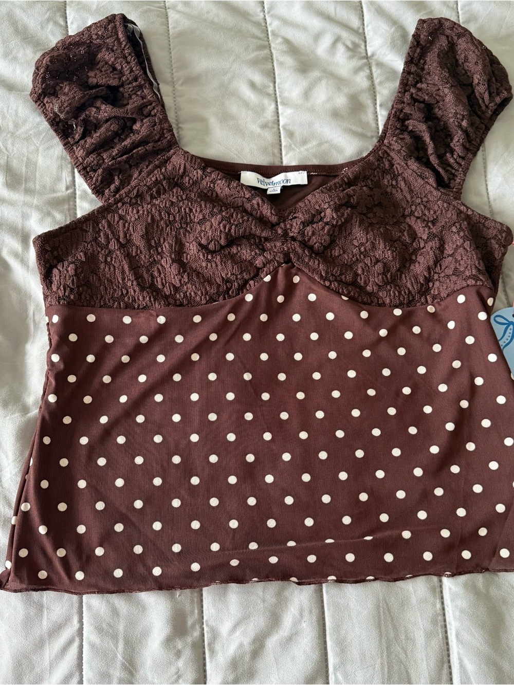 Velvet Brown Polka Dot Lace Bustier Camisole